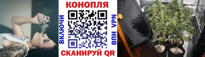 Наркошоп купить Гашиш Канабис КОКАИН МЕФ Вытегра