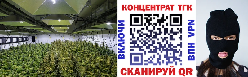Дистиллят ТГК Wax  Купить  Вытегра 