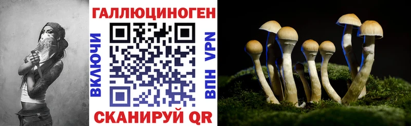 Псилоцибиновые грибы Psilocybe  Купить  Вытегра 