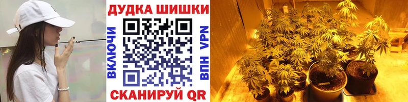 Шишки марихуана планчик  Купить где  Вытегра 